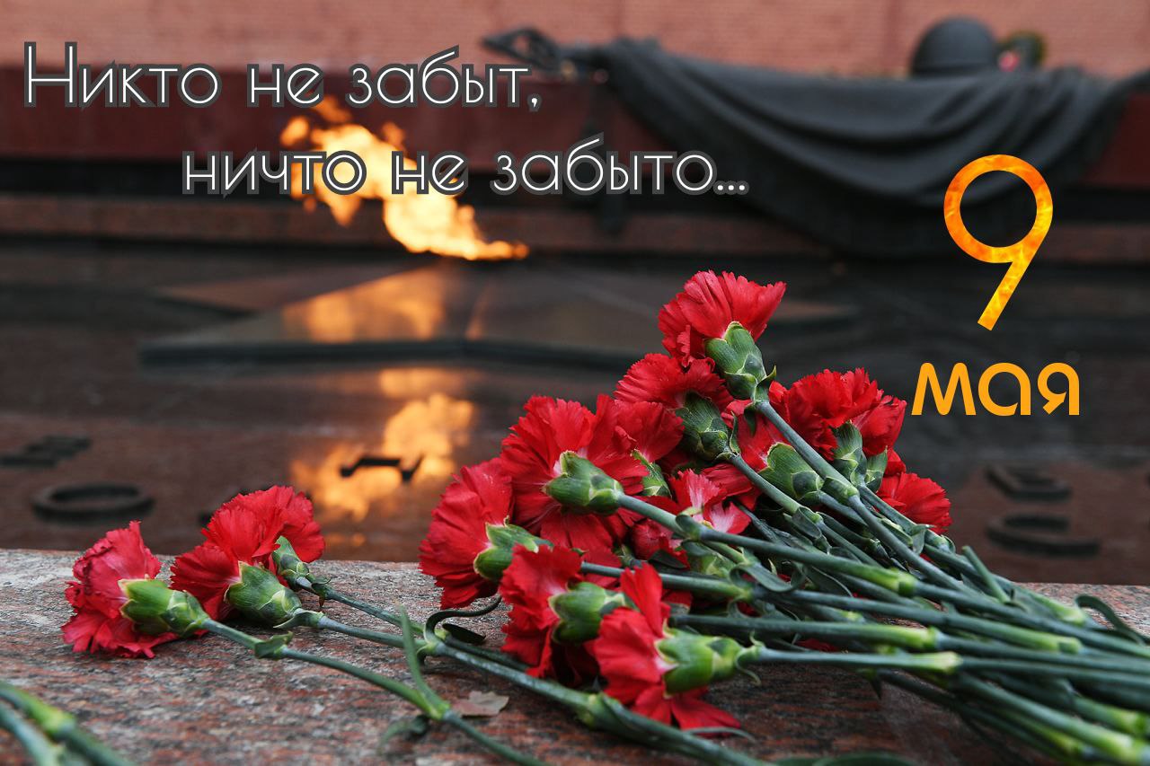 Открытка на праздник 9 Мая в 2025 году с гвоздиками